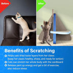 Cat Scratcher Post Board, Mount Fuji Shape Cat Scratching Lounge Bed, Durable Pad Prevents Furniture Damage
