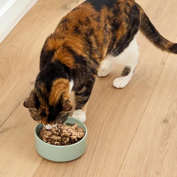 Open Farm, Canned Cat Food Topper, Silky Mousse Made with 95% Responsibly Sourced Icelandic Fish, Grain & Legume Free, Arctic Char Recipe, 3.17oz Cans (Pack of 17)