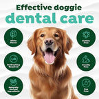 TropiClean Fresh Breath Dog Toothpaste for Teeth Cleaning, Breath Freshener, Easy to Use Plaque & Tartar Remover Gel, No Toothbrush Needed, 4oz.