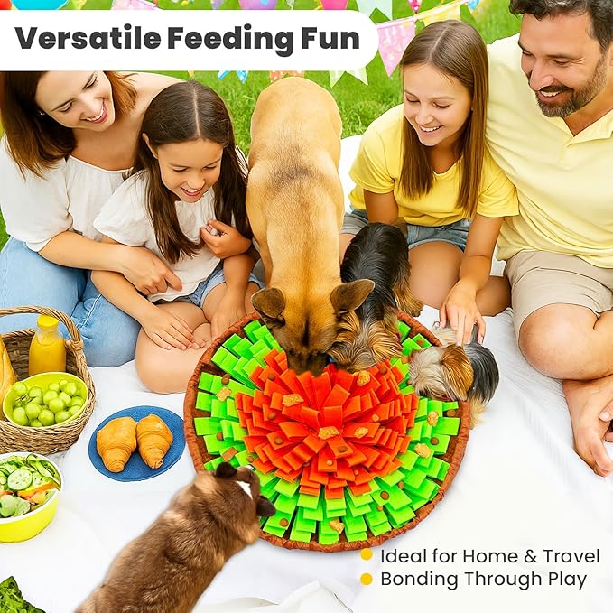 PETCARE Snuffle Mat for Dogs Adjustable Slow Feeder Bowl Interactive Enrichment Puzzle Toys for Small Medium Large Breed Dogs Cats Puppy Sniff Foraging Mats Mental Stimulation Treat Game, 19*19 inch