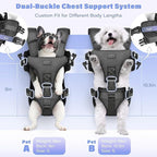 YUDODO Front Pet Carrier Backpack for Small Dogs and Cats, Secure and Breathable Mesh, Ergonomic Support, Adjustable for Walking, Hiking, or Travel (Black S)