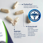 Dog Probiotics - GMP Prebiotics and Probiotics - Reduce Diarrhea Flareups - for Dogs Under 20 lbs (60 Capsules) - DoggyBiome