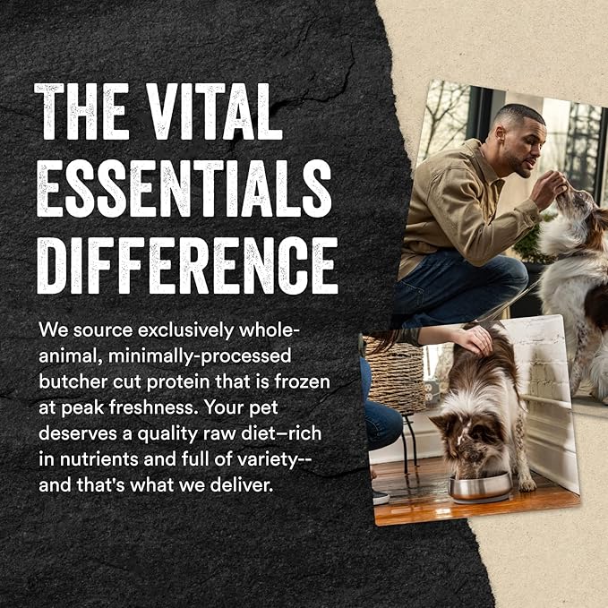 Vital Essentials Beef Bites Dog Treats, 6.2 oz | Freeze-Dried Raw | Single Protein | Premium Quality High Protein Training Treats | Grain Free, Gluten Free, Filler Free