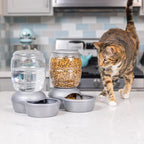 Petmate Replendish Automatic Gravity Waterer for Cats and Dogs, BPA-Free, No Batteries Required, Includes Charcoal Filter, 1 Gallon, Made in USA