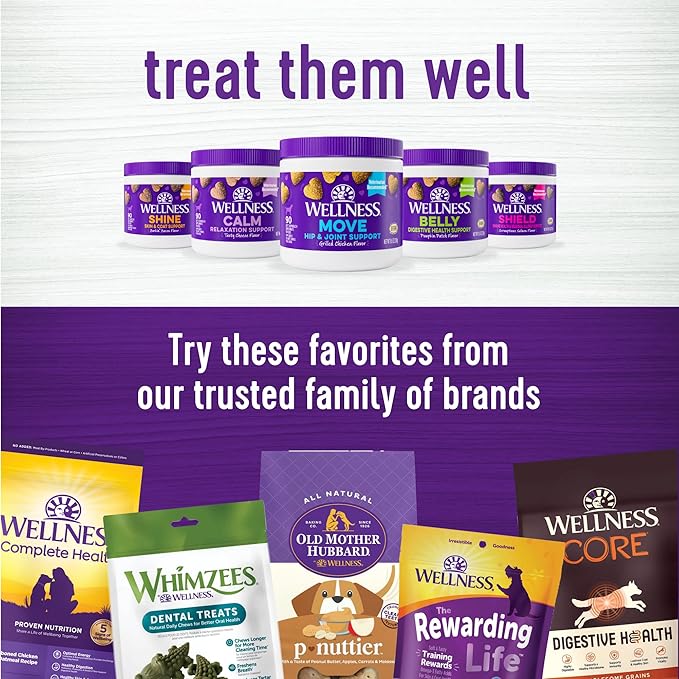 Wellness Barkin' Bacon Flavored Soft Chew Skin & Coat Supplements for Dogs, 90 Count (Pack of 2)