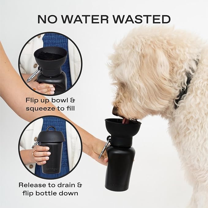 Springer Flip Portable Dog Water Bottle with Foldable Food Grade Silicone Bowl - 20 Ounce Travel Dog Water Bottle Ideal for Camping - Easy Squeeze Hydration & Release to Drain