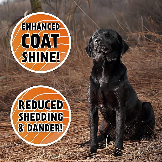 DogBone Fish Oil for Dogs 32 oz | Salmon Oil | Dog Fish Oil | Omega 3 | Dog Joint Supplement | Pet Vitamins and Supplements | Wild Alaskan Salmon Oil for Skin and Coat