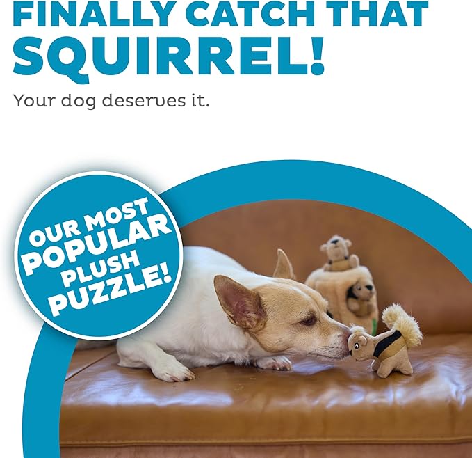 Outward Hound Hide A Squirrel Plush Dog Toy Puzzle, Small