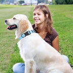 Mile High Life Nylon Night Light Glow Collar, Reflective Light Up Dog Collar, Fluorescent Self-Luminescent Strap for Small Medium Large Dogs (Blue, L Neck15-19")