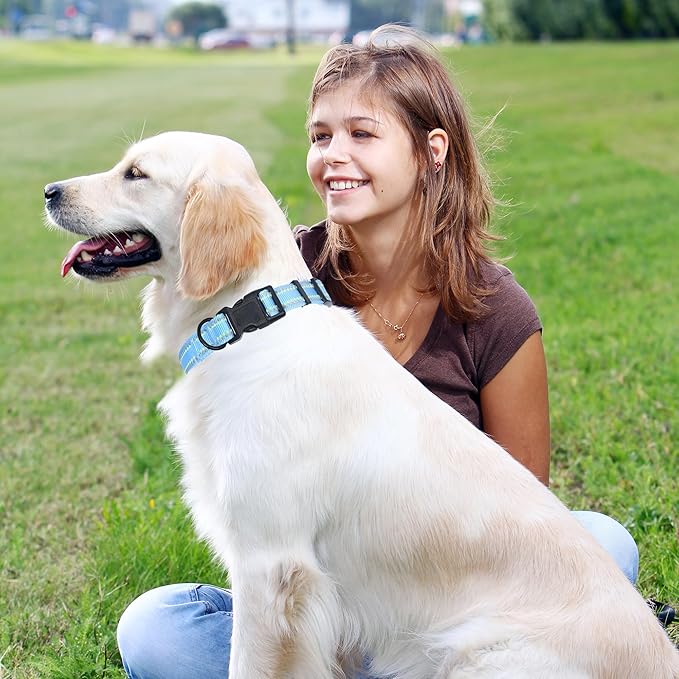 Mile High Life Nylon Night Light Glow Collar, Reflective Light Up Dog Collar, Fluorescent Self-Luminescent Strap for Small Medium Large Dogs (Blue, M Neck13-17")