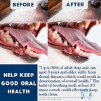 Dog Toothbrush Kit 2 Pack, Ultra Soft Pet Tooth Brush for Medium to Large Dogs, Animal Teeth Brushing Kit for Easy Dental Cleaning