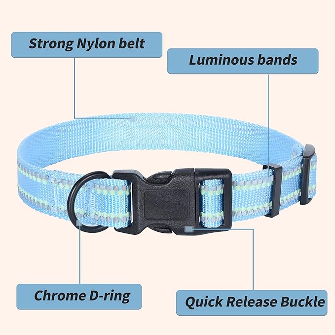 Mile High Life Nylon Night Light Glow Collar, Reflective Light Up Dog Collar, Fluorescent Self-Luminescent Strap for Small Medium Large Dogs (Blue, L Neck15-19")