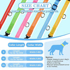 LED Light Up Dog Collar Rechargeable Waterproof, Glow in Dark Dog Collar, Lighted Dog Collars for Night Walking Charging USB, Safety for Small Medium Large Dogs (XL, Blue)