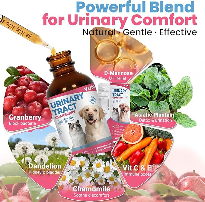 Dog UTI Treatment,Cat Urinary Tract Infection Drops, Renal Health for Cats Pets - Kidney Support,Bladder Control for Dogs Incontinence - Cat UTI Remedy Cranberry & D-Mannose Supplemen