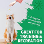 Just Try 13.4 OZ Crunchy Cat Treats Catnip Treats for Cats with Digestive Support, Natural Ingredients Kitten Treats with Real Salmon, Healthy Feline Snacks Training Biscuits Dental Care