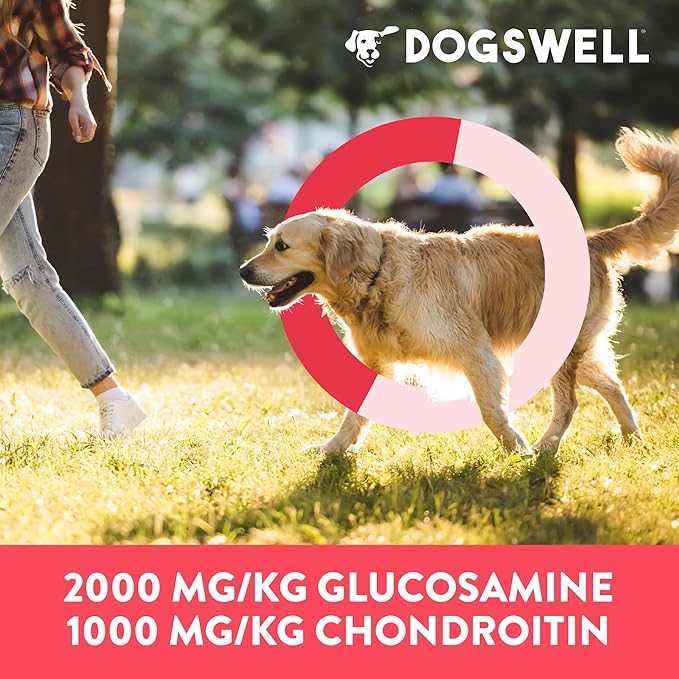 DOGSWELL Hip & Joint Dog Treats 100% Meaty, Grain Free, Glucosamine Chondroitin & Omega 3, Duck Soft Strips 10 oz