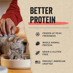 Vital Essentials Freeze Dried Raw Single Ingredient Cat Treats, Chicken Hearts, 0.8 OZ (Pack of 6)