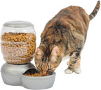 Petmate Replendish Feeder with Automatic Cat and Dog Feeder Grey, Made in USA