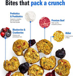 PetPlate Trail Blazin' Beef FreshBaked Dry Dog Food Grain-Inclusive, Gently Baked and Air-Dried Human Grade Dog Food, Formulated with Prebiotics and Postbiotics, No Fillers or by-Products, 2lbs