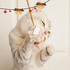 Gigwi Cat Toys for Indoor Cats, Interactive Cat Toy with Real Squeaky Mouse Electronic Sound Chirping, Kitten Toys Automatic Cats Mice Toy for Exercise & Kicker to Self Play, Relieve Boredom