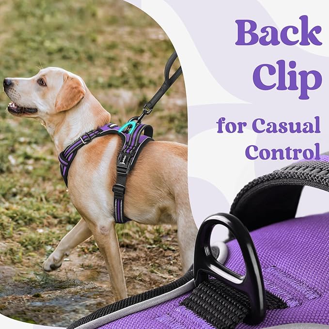 rabbitgoo Dog Harness Medium Sized, No Pull Pet Harness with 3 Buckles, Adjustable Soft Padded Vest with Control Handle, Walking Reflective Pet Vest for Medium Dogs, Purple, M