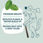 Shameless Pets Dental Treats for Dogs, Variety (3-Pack) - Healthy Sticks for Teeth Cleaning & Fresh Breath - Dog Bones Dental Chews Free from Grain, Corn & Soy