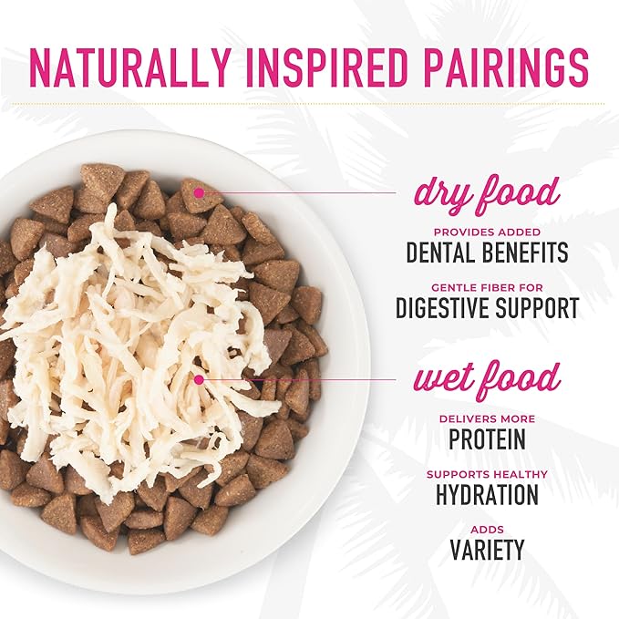 Tiki Cat After Dark, Chicken & Quail Egg, High-Protein and 100% Non-GMO Ingredients, Wet Cat Food for Adult Cats, 2.8 oz. Can (12 Count)