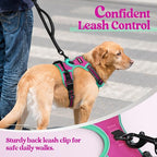 rabbitgoo Dog Harness No Pull with 2 Leash Clips, Adjustable Soft Padded, Reflective Oxford No Choke Pet Vest with Easy Control Handle for Large Dogs, Hot Pink & Turquoise, M