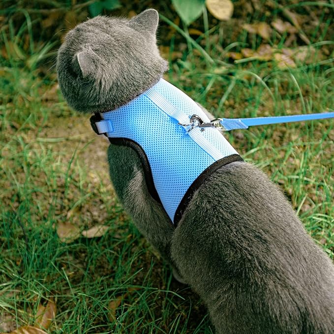 PUPTECK Soft Mesh Cat Vest Harness and Leash Set Puppy Padded Pet Harnesses Escape Proof for Cats Small Dogs, Blue Medium