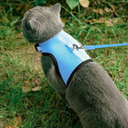 PUPTECK Soft Mesh Cat Vest Harness and Leash Set Puppy Padded Pet Harnesses Escape Proof for Cats Small Dogs, Blue Large