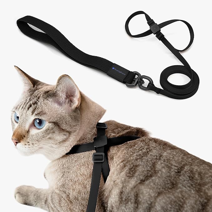 Cat Harness and Leash 2-in-1, Escape Proof Anti-Chocking Harness Adjustable Lighweight Leash Walking Outoor Training for Kitten Small Large Cats Puppy, US IDA Bronze Award (Midnight Black)