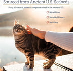 Rx Vitamins Feline Minerals - Taurine for Cat Heart Health - Calcium for Joint Supplement - Immune Support for Cats with Magnesium & Potassium - Skin and Coat Supplement - 8oz