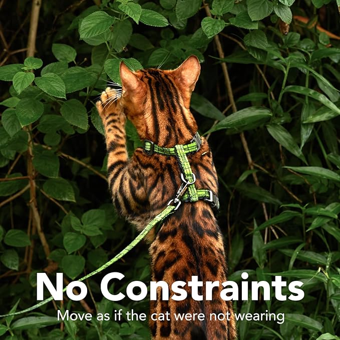 Cat Harness and Leash Set - Escape Proof Adjustable Cat Harness, Comfortable Soft Lightweight, Use Safe & Easy, Walking Travel Kitten Harness for Small Medium Large Cats (Green Growling Crocodile)