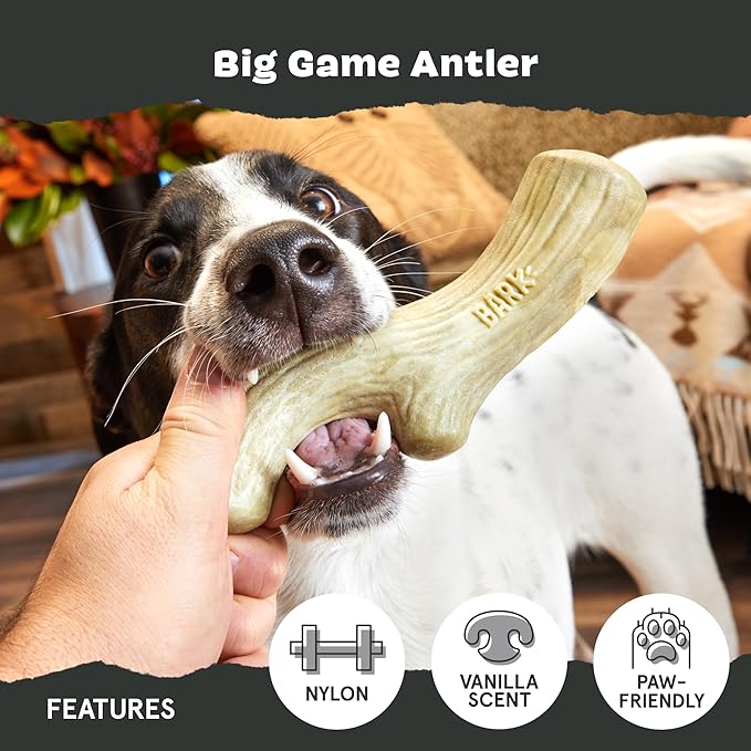 Barkbox Super Chewer Tough Dog Chew Toys for Aggressive Chewers, Dental Stimulating (Antler - Large)