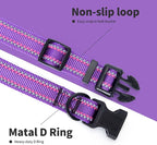 Mile High Life Nylon Night Light Glow Collar, Reflective Light Up Dog Collar, Fluorescent Self-Luminescent Strap for Small Medium Large Dogs (Purple, XS Neck9-13")