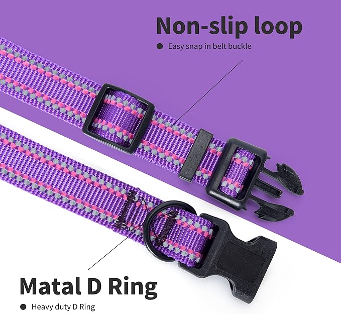 Mile High Life Nylon Night Light Glow Collar, Reflective Light Up Dog Collar, Fluorescent Self-Luminescent Strap for Small Medium Large Dogs (Purple, XS Neck9-13")