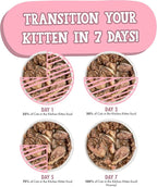 Weruva Cats in The Kitchen Kitten, Kitten Gone Wild, 3oz Can (Pack of 12)