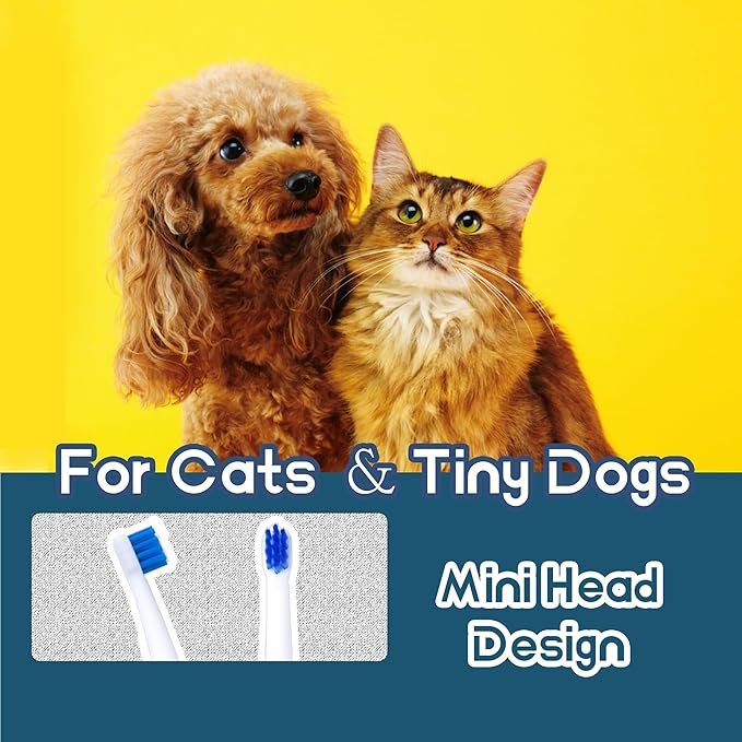 Small Dog Toothbrush, Cat & Puppy Tooth Brushing Kit, Ultra Soft & Mini 15° Curved Head Teeth Brush for Kitten & Tiny Pet, Doggy Toothbrushes Deep Dental Clean, Soft Bristles, 2 PCS - White