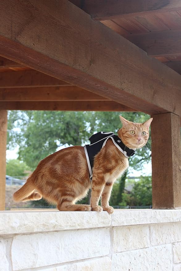 Travel Cat & Stray Cat Harness and Leash Set - Adjustable Velcro Mesh Cat Harness and Strong Nylon Leash Kit - Comfort Escape Proof Harness for Cats, Kitten for Outdoor Walking,Hiking (Small: 9-11 in)