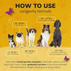 Turkey Tail Mushroom for Dogs - Dog Vitamins and Supplements - Prebiotics & Probiotics for Longevity, Immune Support & Digestion - with Chlorella, Dandelion Root, Vitamin E & More- 5.3 Oz