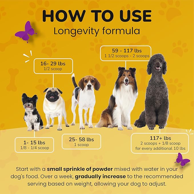 Turkey Tail Mushroom for Dogs - Dog Vitamins and Supplements - Prebiotics & Probiotics for Longevity, Immune Support & Digestion - with Chlorella, Dandelion Root, Vitamin E & More- 5.3 Oz