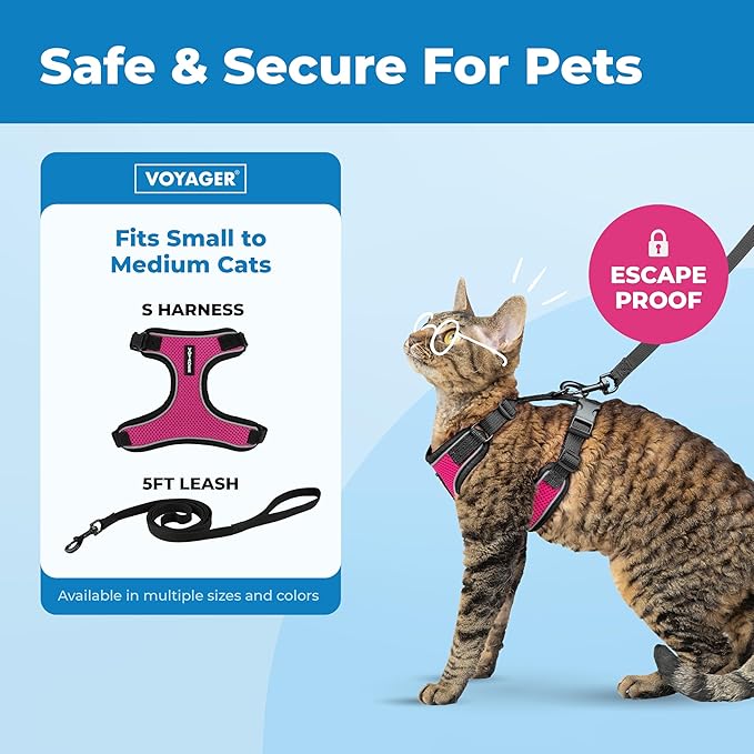 Voyager Escape-Proof Step-in Lock Cat Harness & 5ft Neoprene-Handle Leash Set All-Weather Mesh with Reflective Stitching for Small to Large Cats by Best Pet Supplies, Black Trim-Fuchsia (327), S