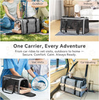 Petsfit Pet Carrier for Large Cats, Cat Carrier for Medium Cats and Puppy up to 20lbs, 4-Sided Breathable Mesh, Escape Proof and Locking Zipper, Sturdy Structure,Grey