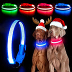 YFbrite Light up Dog Collar, USB Rechargeable LED Puppy Collar Super Bright Adjustable Glowing Dog Lights for Night Walking (Blue, Large)