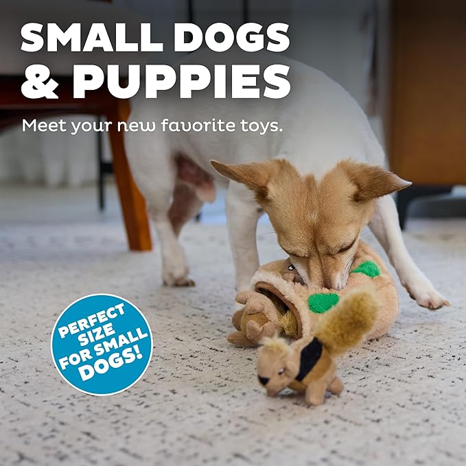 Outward Hound Squeakin' Squirrels Plush Replacement Dog Toys - 3 Pack