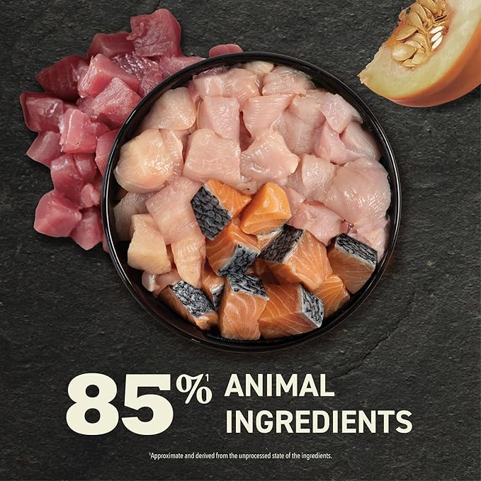 ACANA Premium Pate Wet Cat Food in Bone Broth Variety Pack: Salmon & Chicken + Tuna & Chicken Recipes 3oz Cans (12 Count, 6 of Each)