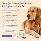Pawfy Probiotics for Dogs | Supports Digestive Health, Diarrhea for Small and Large Dogs | Improves Gut Health | Anti Yeast Supplements | Promotes Skin Health and Seasonal Allergies Support - 30 Chews