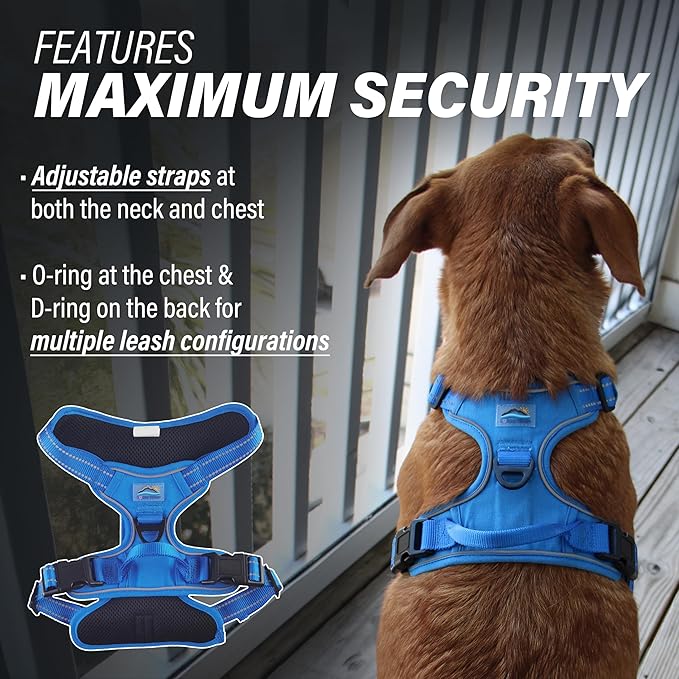 Doggie Design Venture Paw No Pull Dog Harness - Simple Adjustable Puppy Harness - Anti Pull Dog Collar for Walks and Outdoor Adventures - Mountain Lake, L