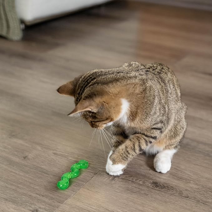 Petstages Orkakat Wiggle Worm Dental Catnip Cat Chew Toy