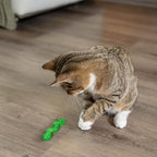 Petstages Orkakat Wiggle Worm Dental Catnip Cat Chew Toy